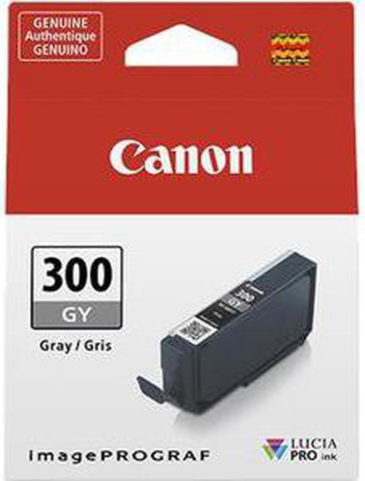 Main image of Canon LUCIA PRO PFI-300 Original Ink Cartridge Gray 1 Pack 4200C002
