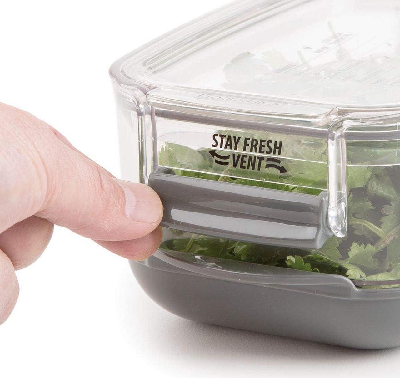 Alt view image 5 of 7 - prepworks by progressive berry prokeeper, pks910, 1.2quart, strawberries, blueberry, fruit vegetable container