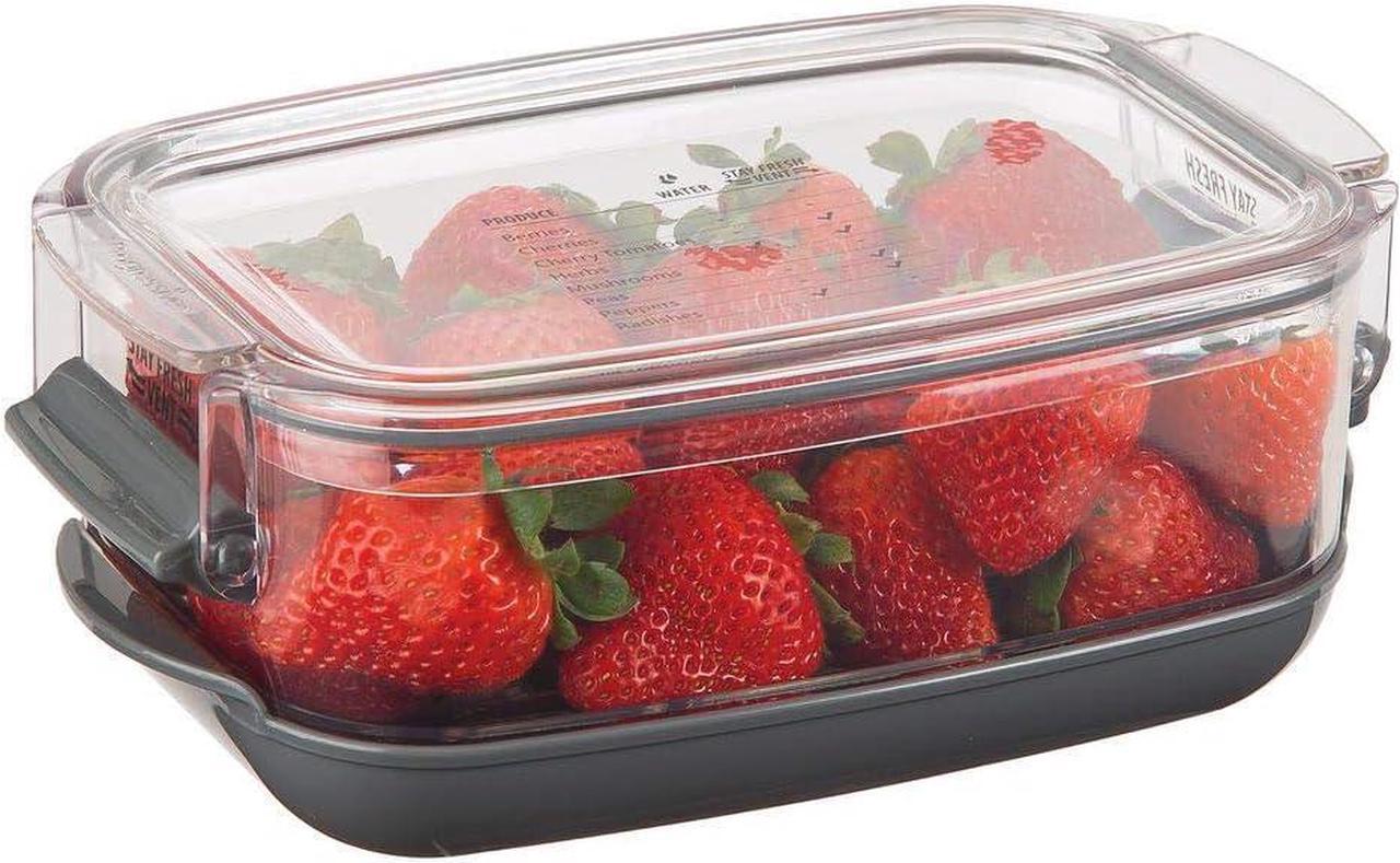 Alt view image 6 of 7 - prepworks by progressive berry prokeeper, pks910, 1.2quart, strawberries, blueberry, fruit vegetable container