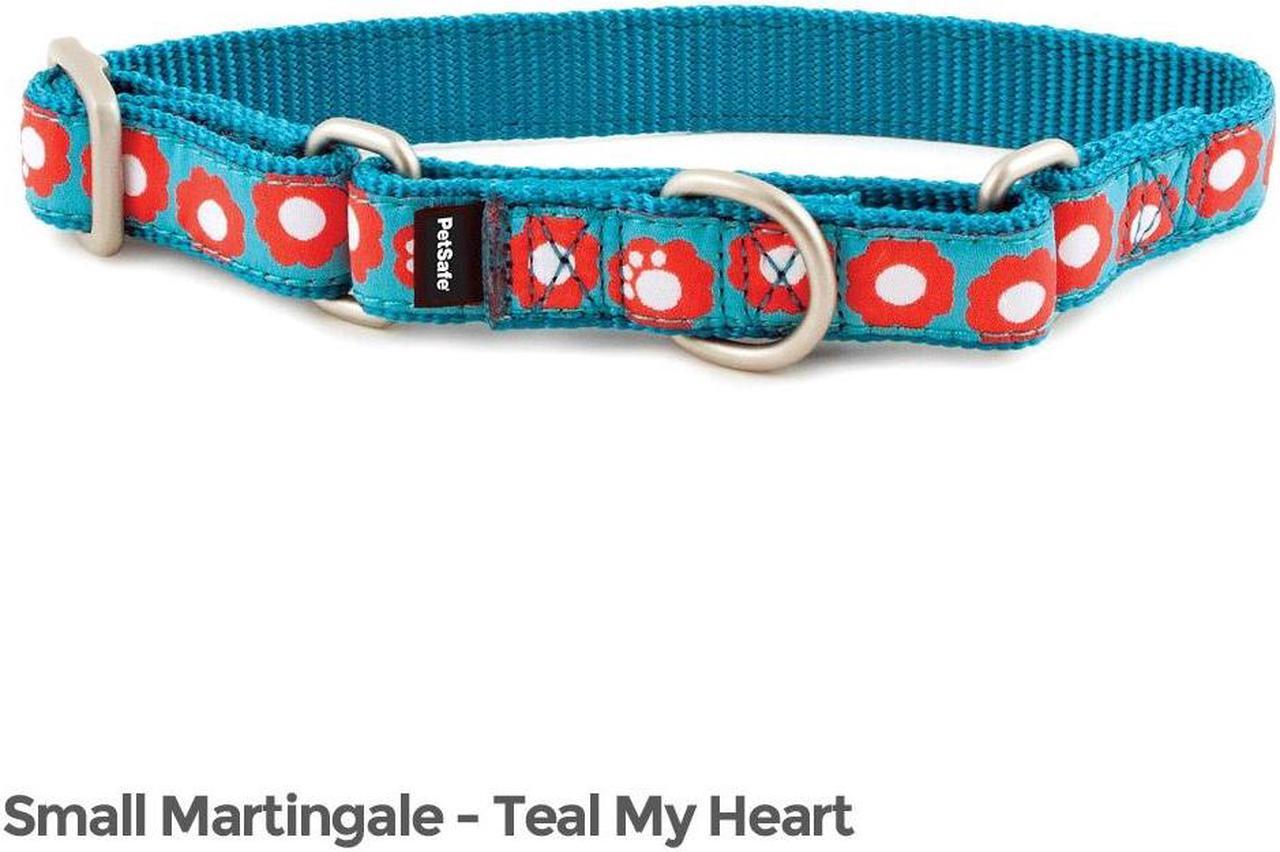 Main image of PetSafe Fido Finery Martingale Style Collar (3/4" Small, Teal My Heart)