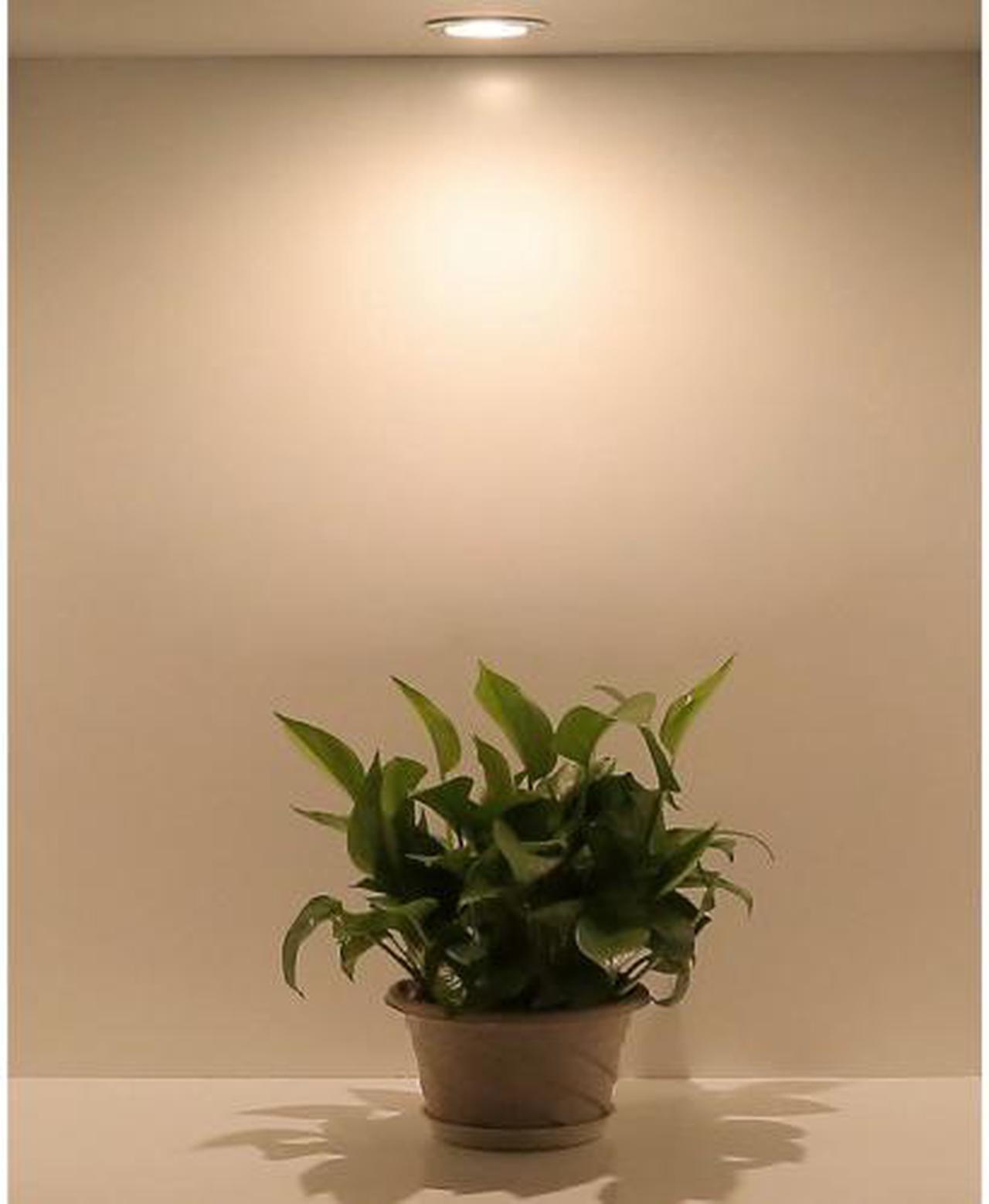 Alt view image 3 of 5 - Dimmable 4W GU10 LED Bulbs, 35W Equivalent, Recessed Lighting, Track Lighting, Warm White