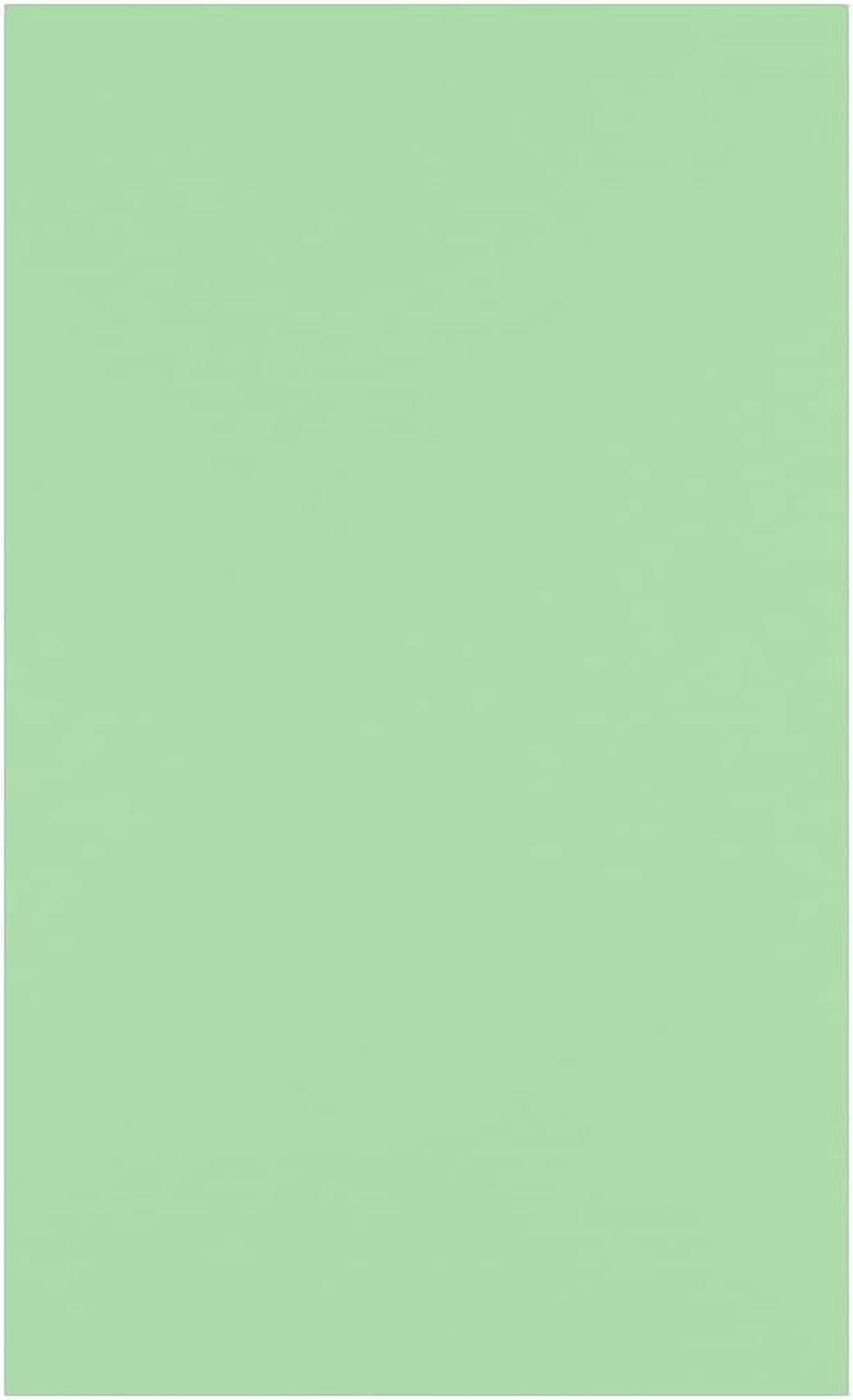 Main image of JAM Paper 11" x 17" Multipurpose Paper 60 lbs. Pastel Green 50/Pack (1117-P-67-50)