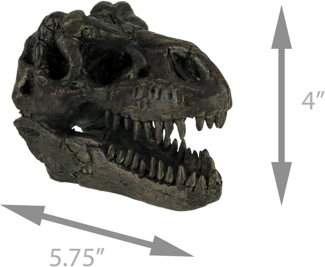 Alt view image 4 of 4 - Tyrannosaurus Rex Dinosaur Skull Fossil Statue Small
