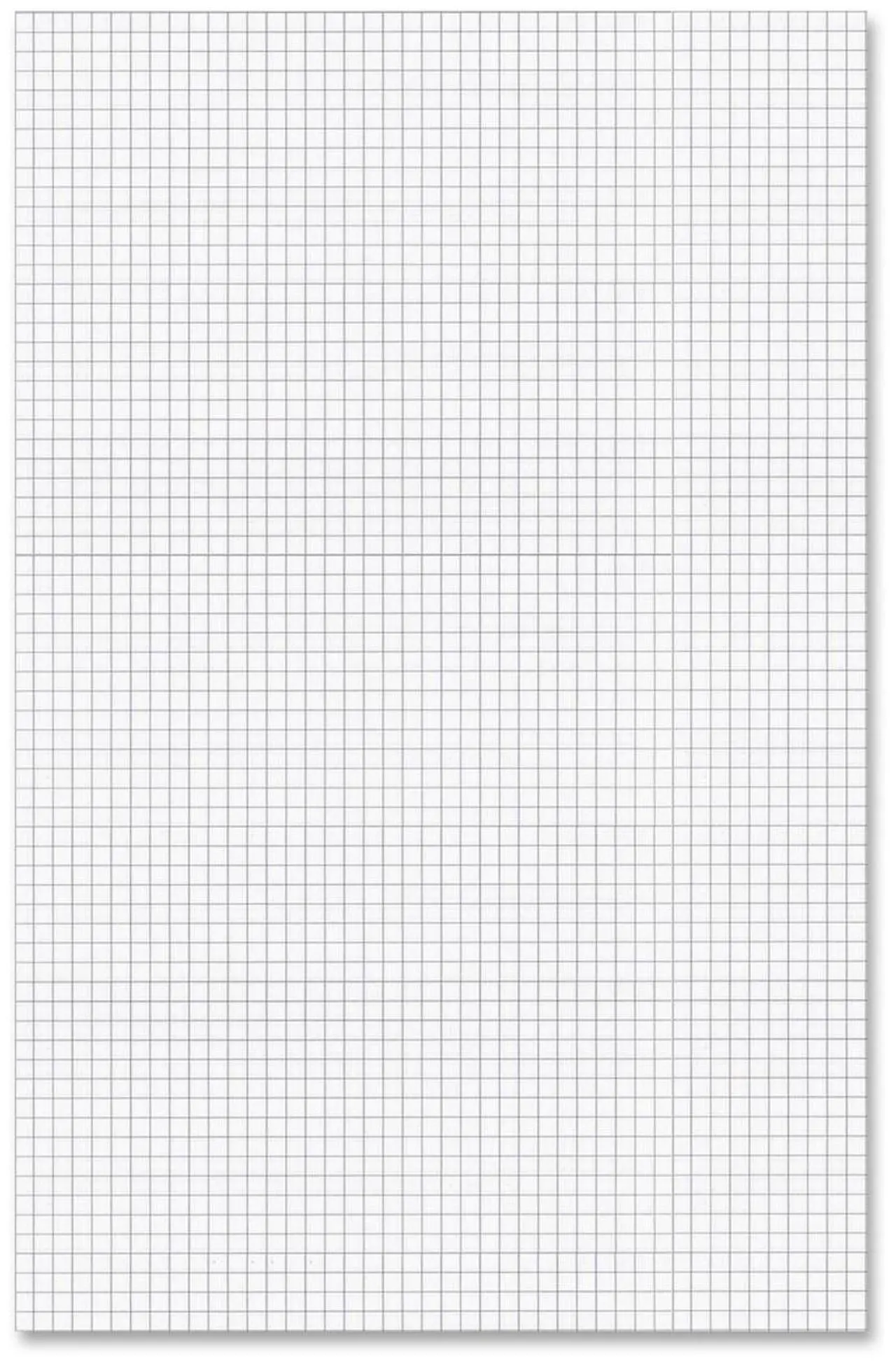 Main image of Ampad Tabloid-size Quadrille Pad