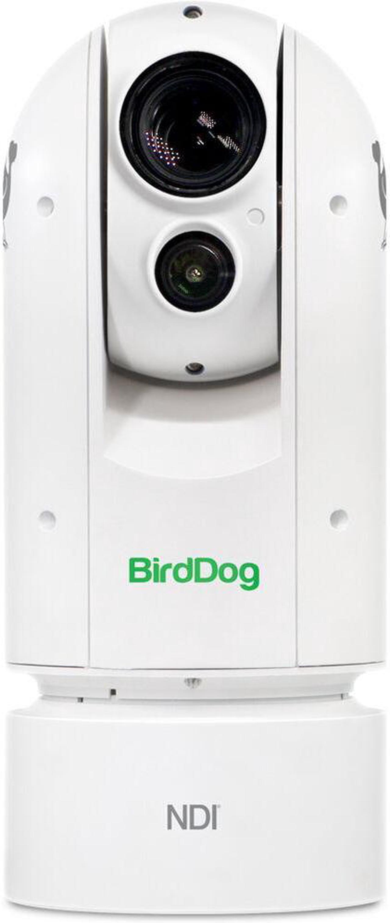 Alt view image 3 of 8 - BirdDog Eyes A300 1080p Full NDI PTZ Camera with Sony Sensor and SDI