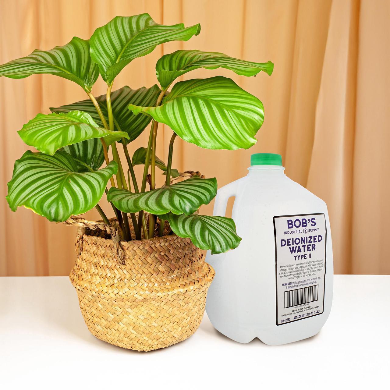 Alt view image 6 of 7 - BISupply 1Gal Type II Deionized Water Gallon Jug for Auto and Laboratory