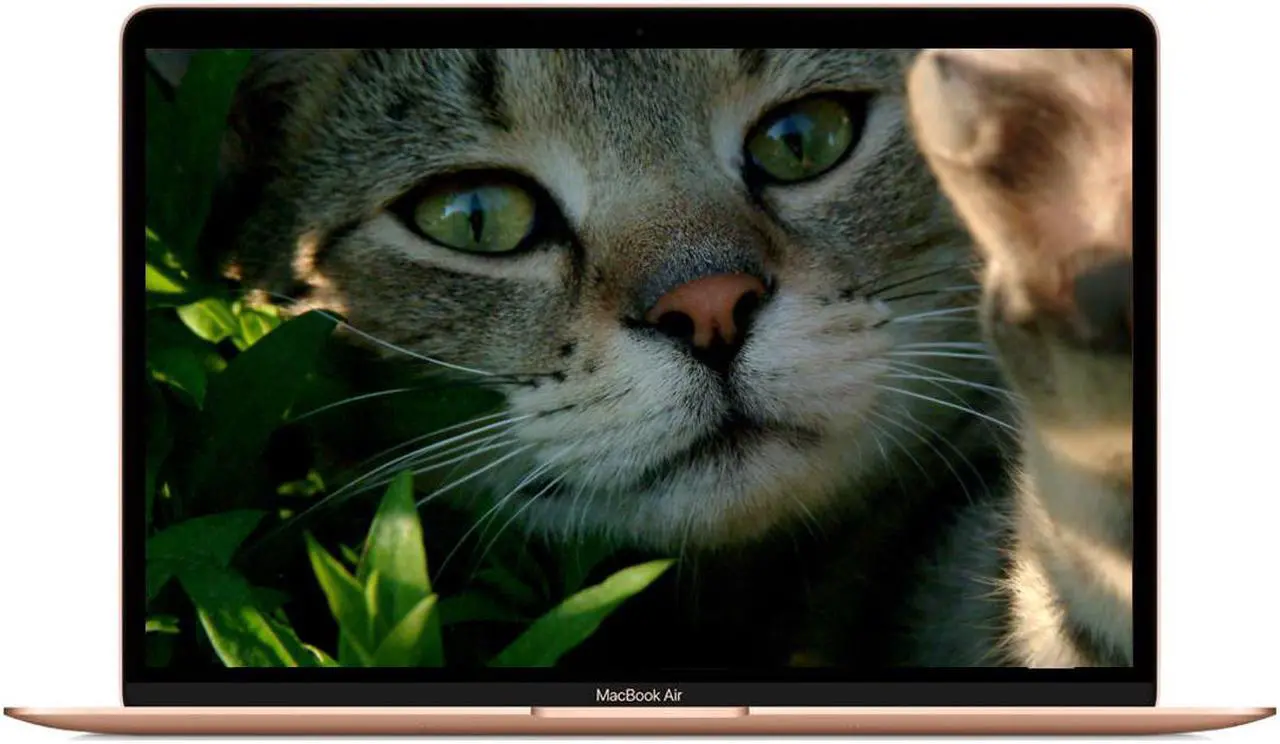 Main image of Apple A Grade Macbook Air 13.3-inch (Retina, Gold) 1.6GHZ Dual Core i5 (2019) MVFL2LL/A 256GB SSD 8GB Memory 2560x1600 Display Mac OS Power Adatper Included