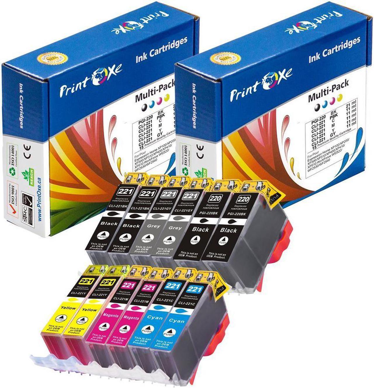 12 New Ink Cartridges (2 Complete Sets) for PGI-220 & CLI-221 (2 Large BK, 2 Small BK, 2 Magenta, 2 Cyan, 2 Yellow, 2 Gray) for PIXMA iP3600 iP4600 iP4700 MP620 MP980 MP990 MP560 MP620