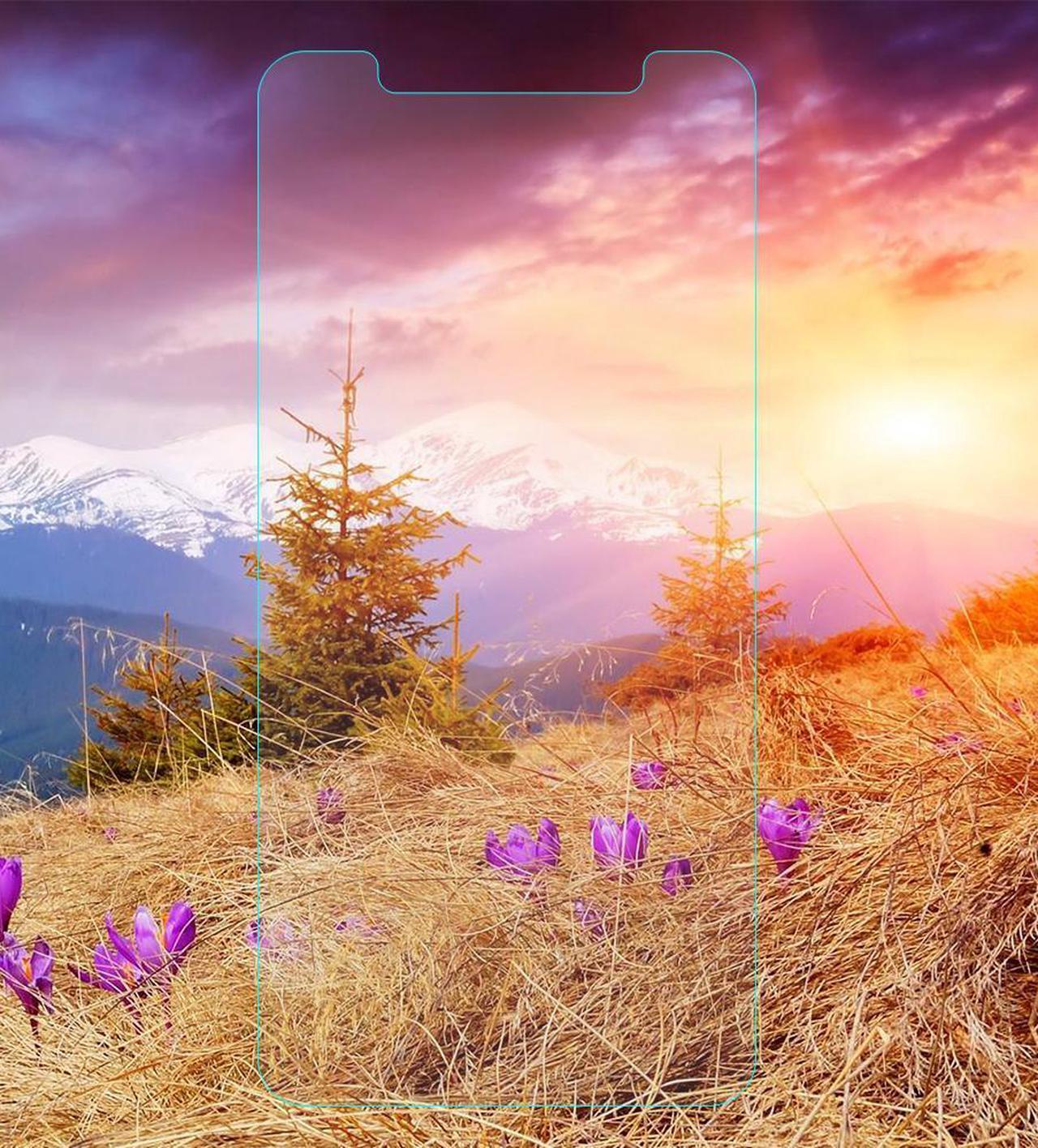 Alt view image 6 of 6 - 2X Tempered Glass Screen Protector Scratch Guard for Apple iPhone Xs Max 6.5"