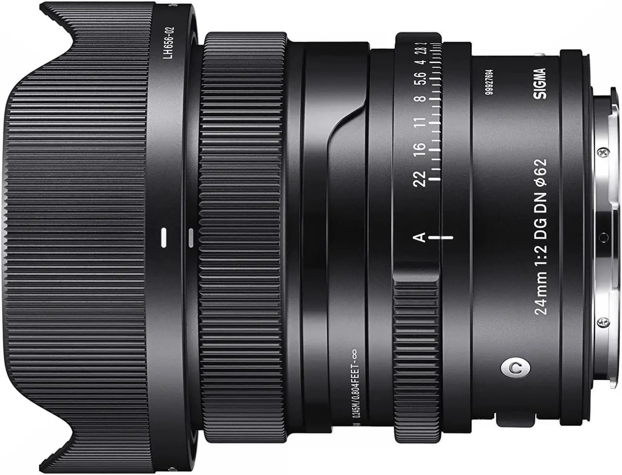 Main image of 24mm F2 DG DN for L-Mount