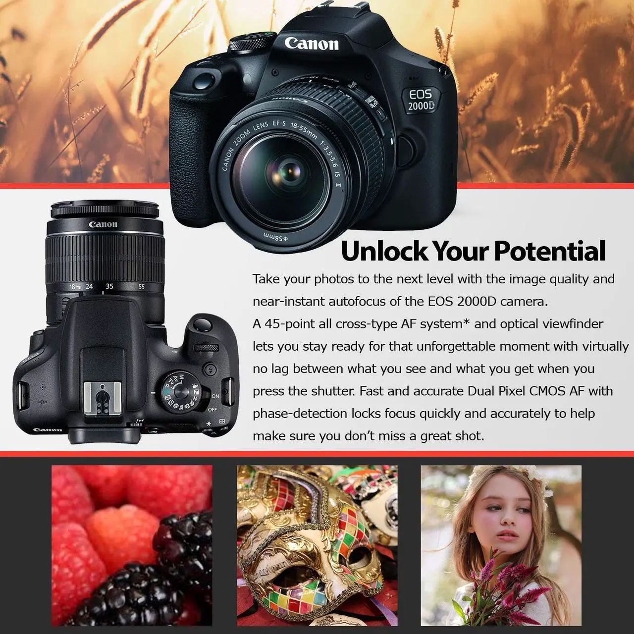 Alt view image 3 of 4 - Canon EOS 2000D (Rebel t7) DSLR Camera and EF-S 18-55 mm f/3.5-5.6 IS III Lens + 75-300mm Telephoto Zoom Lens + 64GB Memory Card + Camera Bag + Cleaning Kit + Table Tripod + Flash + Filters