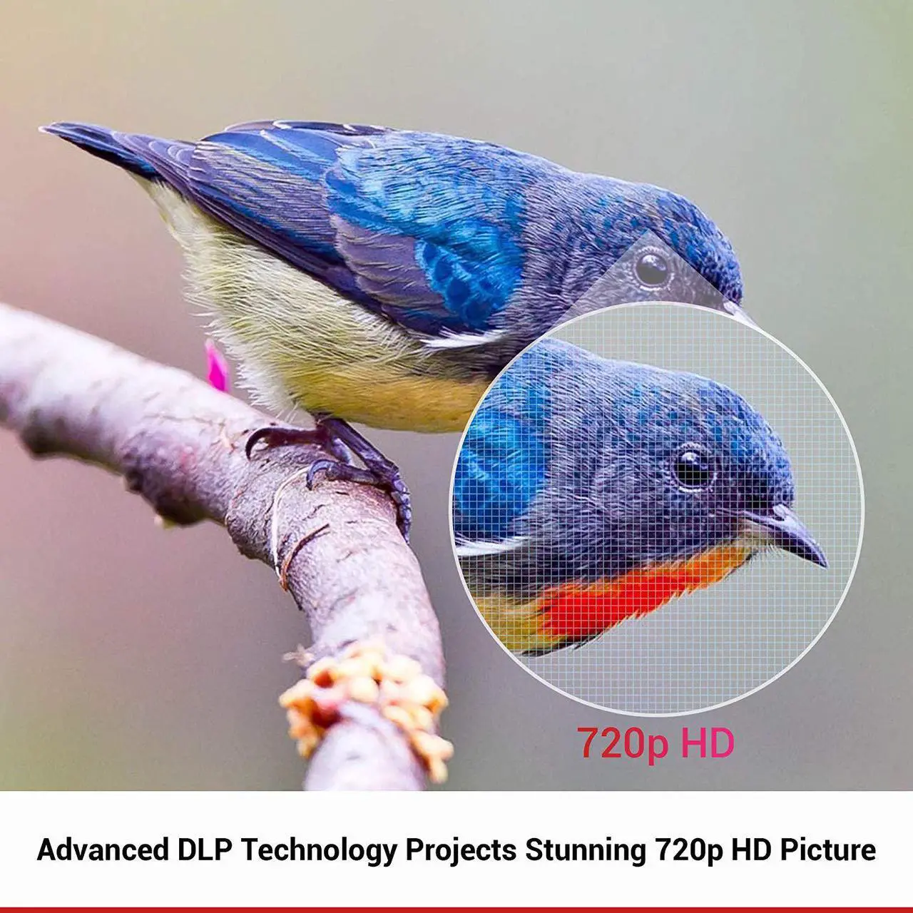 Alt view image 2 of 7 - Nebula Capsule II Smart Mini Projector, by Anker, Palm-Sized 200 ANSI Lumen 720p HD Portable Projector Pocket Cinema with Wi-Fi, DLP, 8W Speaker, 100 Inch Picture, 3, 600+ Apps, Movie Projector