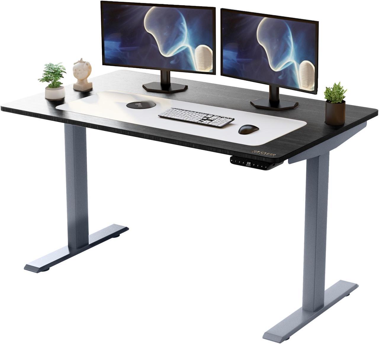 RISE UP dual motor electric standing desk 60x30" black desktop premium ergonomic adjustable height sit stand up home office computer desk table motorized powered modern furniture small standup table