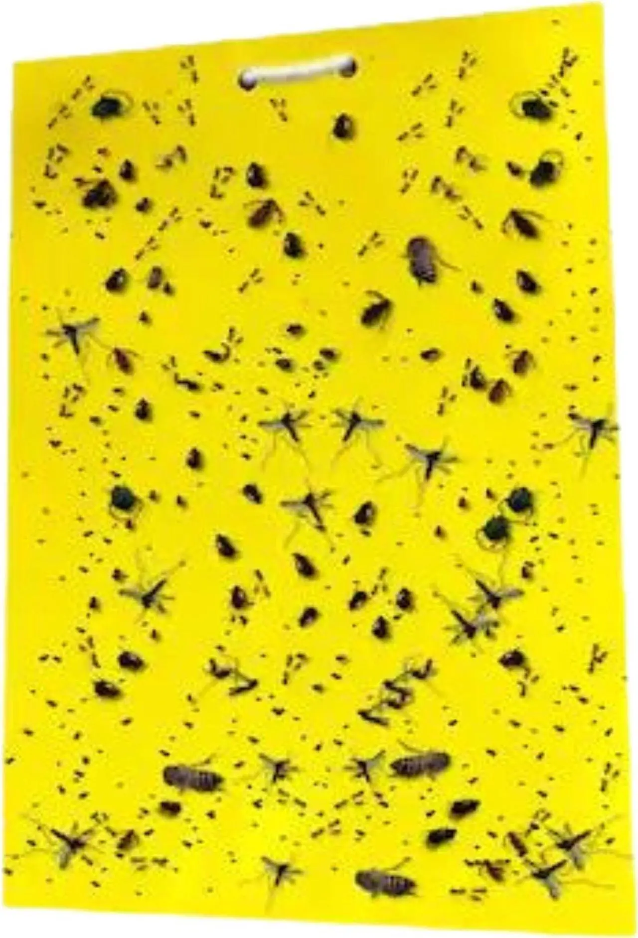 Alt view image 5 of 7 - FindTape Insect Trap Tape [Double Sided]: 8 in. (192mm actual) x 10 in. (Yellow) *20-pack