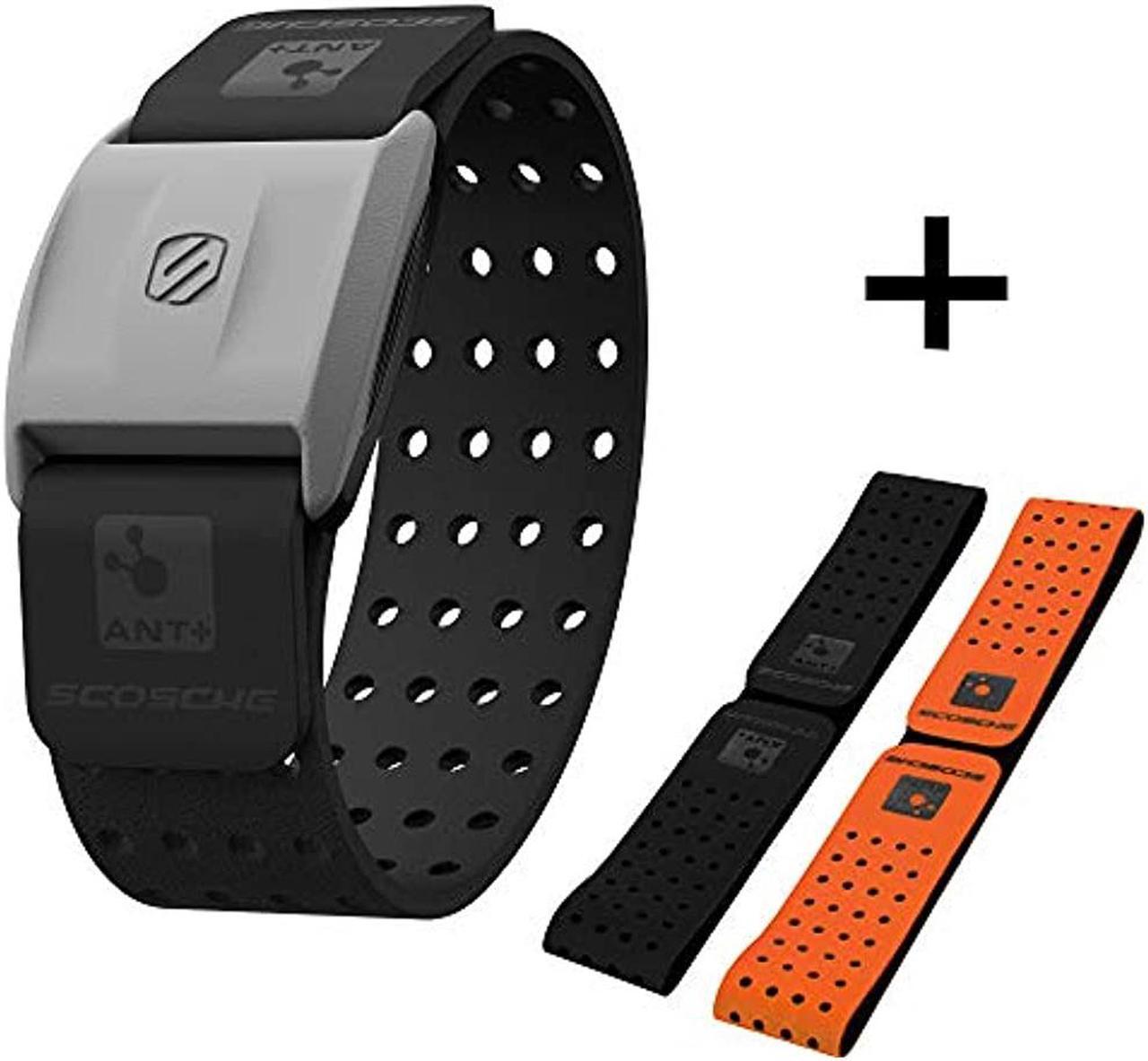 Alt view image 7 of 12 - Scosche - Rhythm+ Heart Rate Monitor in Black