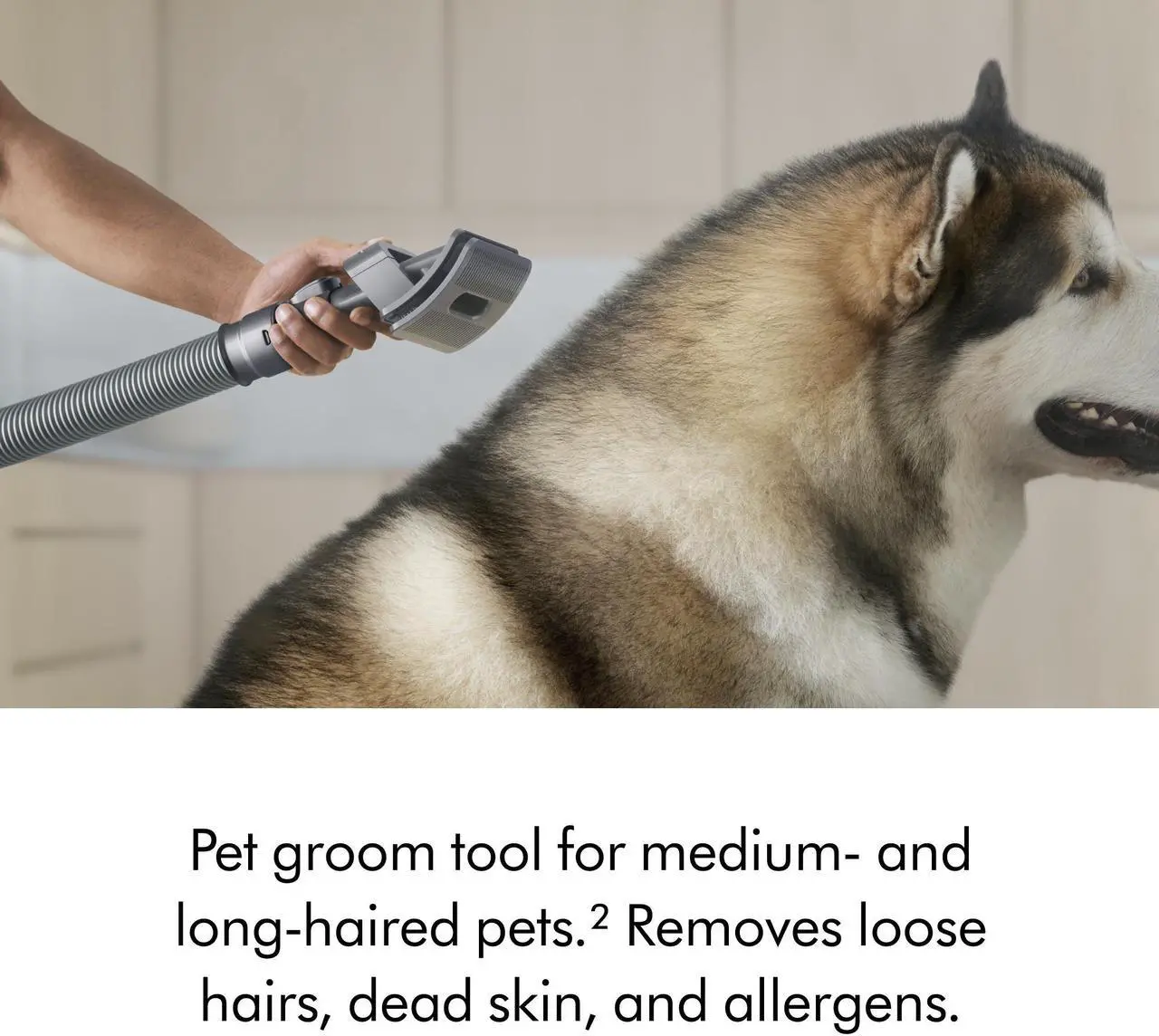 Alt view image 5 of 7 - Dyson Ball Animal 3 Extra Upright Vacuum | Copper