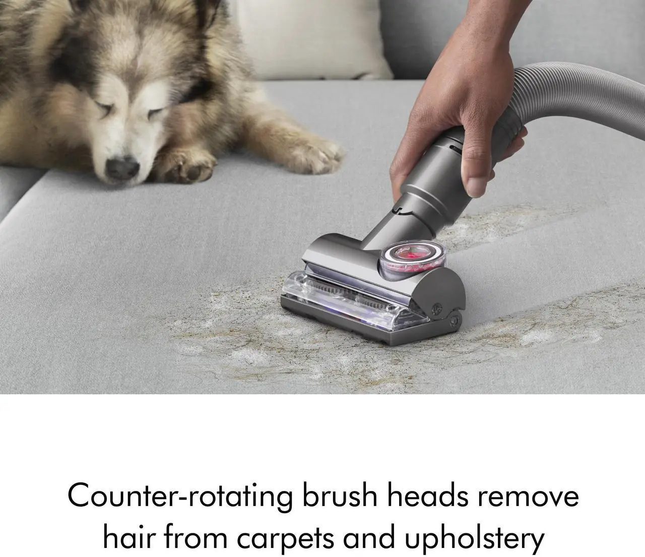 Alt view image 5 of 7 - Dyson UP30 Ball Animal 3 | Nickel/Silver