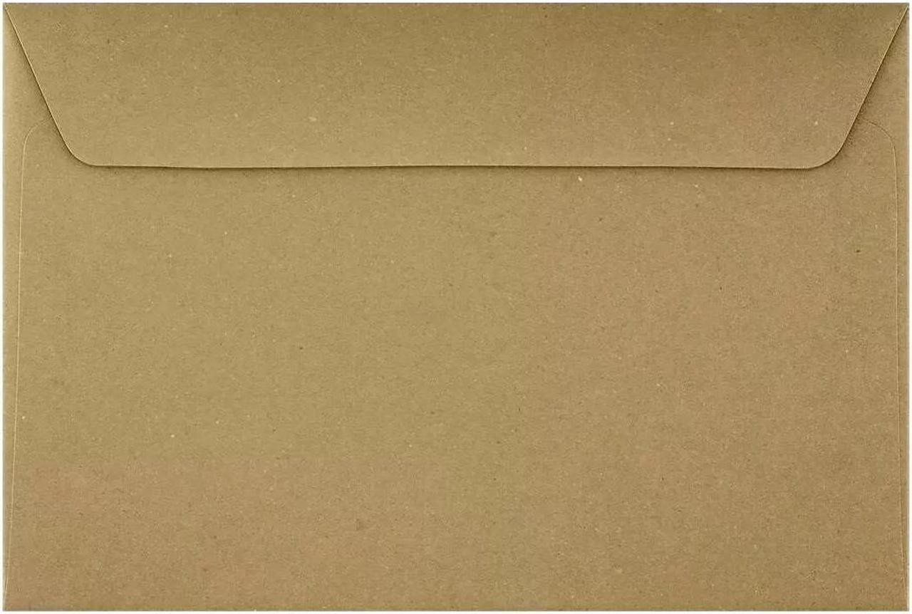 Main image of LUX 6 x 9 Booklet Envelopes 50/Pack Grocery Bag (4820-GB-50)