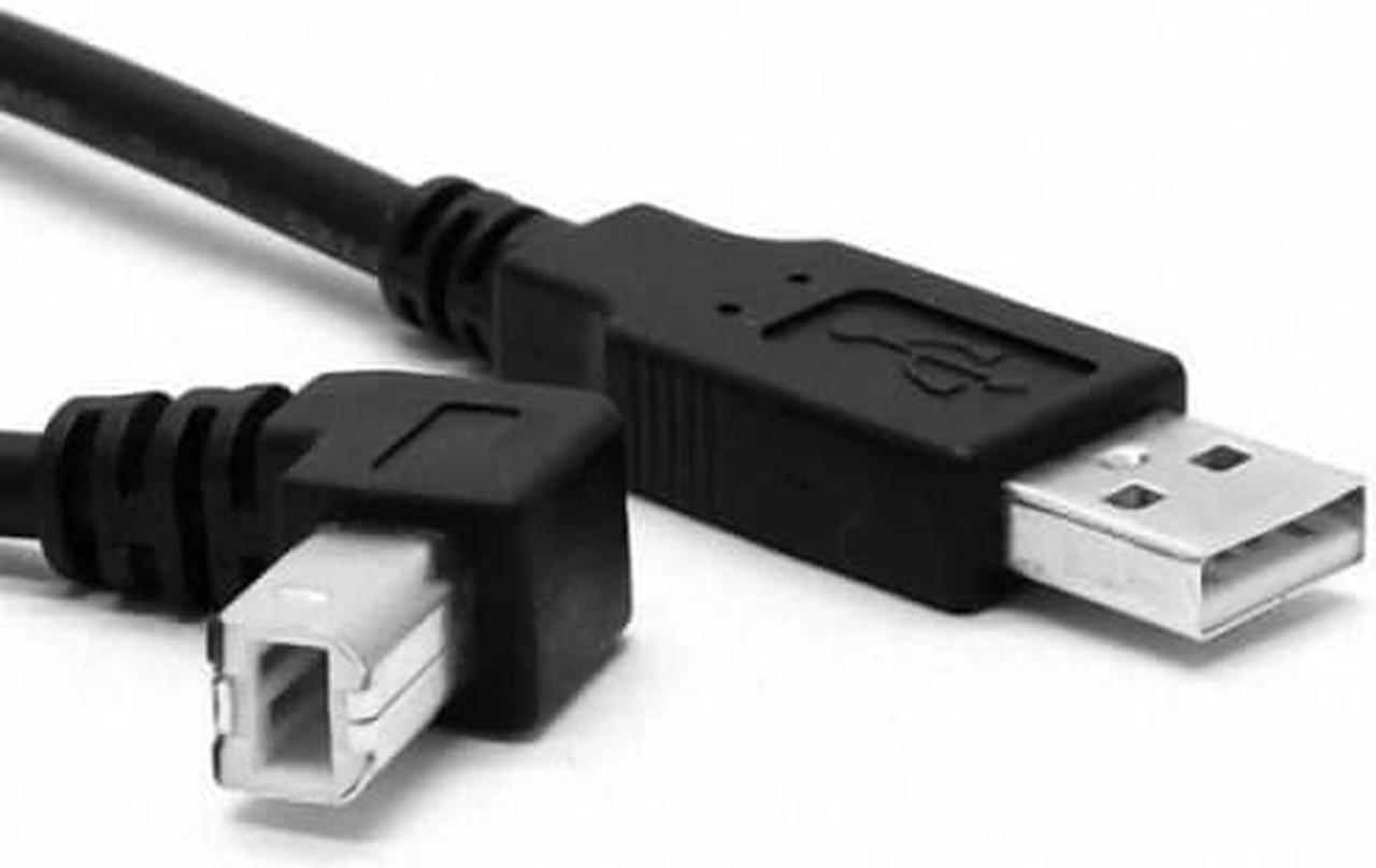 CHENYANG Standard USb 2.0 A type male to B type up angled 90 degree Cable for printer scanner & external Hard disk 1.5m 5ft