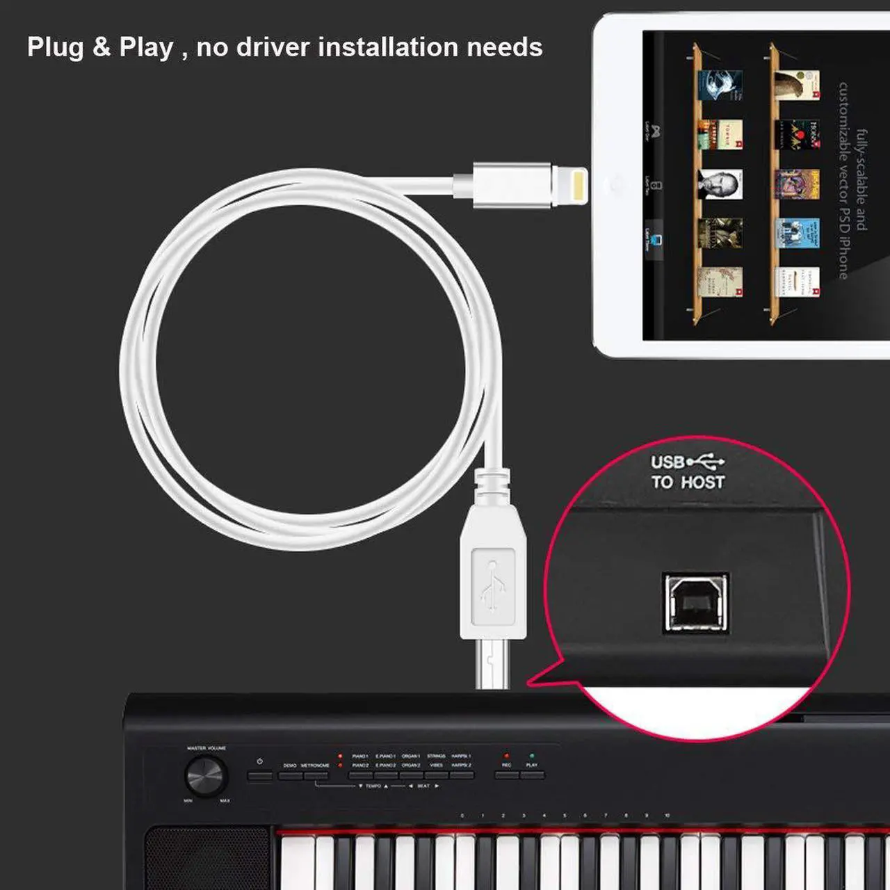 Alt view image 5 of 7 - Werleo 5FT Lightning to MIDI Cable Adapter USB 2.0 Interconnections Converter Midi Keyboard Electronic Instruments USB Microphone for iPhone 6 7 8 X iPad iPod Compatible with Multiple APPs