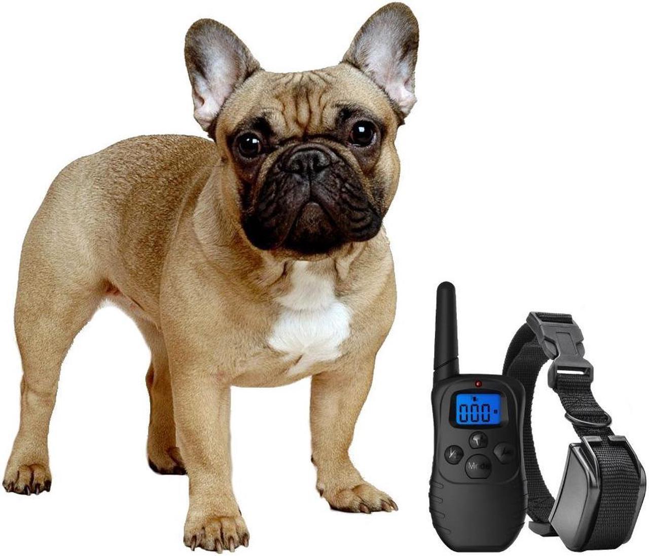 Main image of Shock Collar for Small Dogs with Remote + FREE Dog Clicker Training – 3 Mode (sound, vibration & shock) – Save Money with Rechargeable Batteries – Clicker + Shock Collar = Faster Results