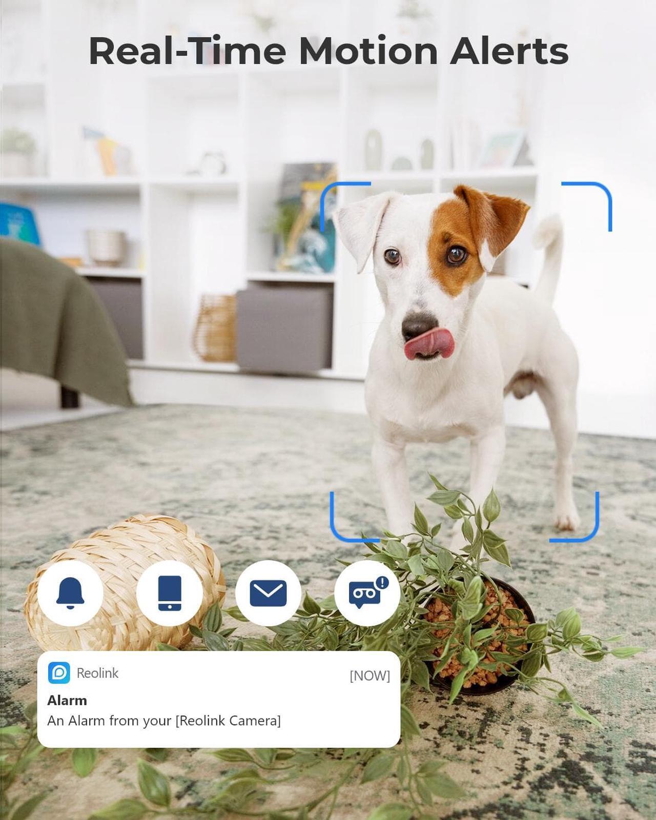 Alt view image 5 of 7 - Reolink E1 Wireless Security Camera, 3MP HD Plug-in Indoor WiFi Camera for Home Security/Baby Monitor/ Pets, Micro SD Card Storage, Pan Tilt, Night Vision, Works with Alexa/Google Assistant