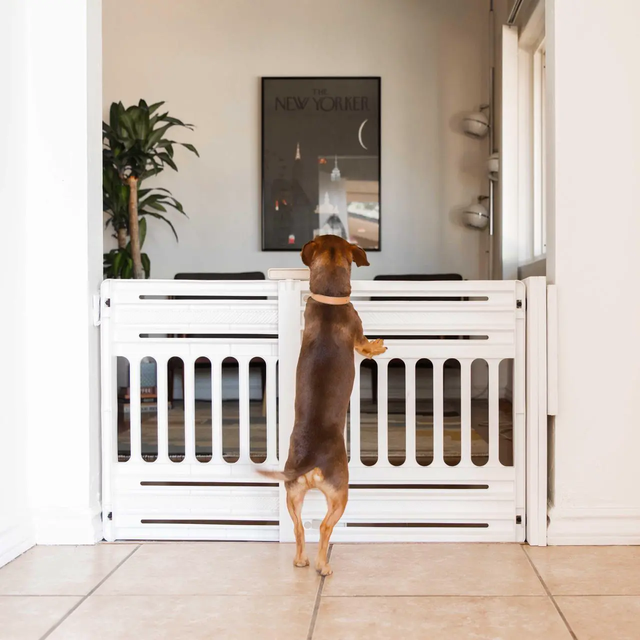 Alt view image 2 of 4 - IRIS 24 to 39" Portable Expandable Pet Gate, White