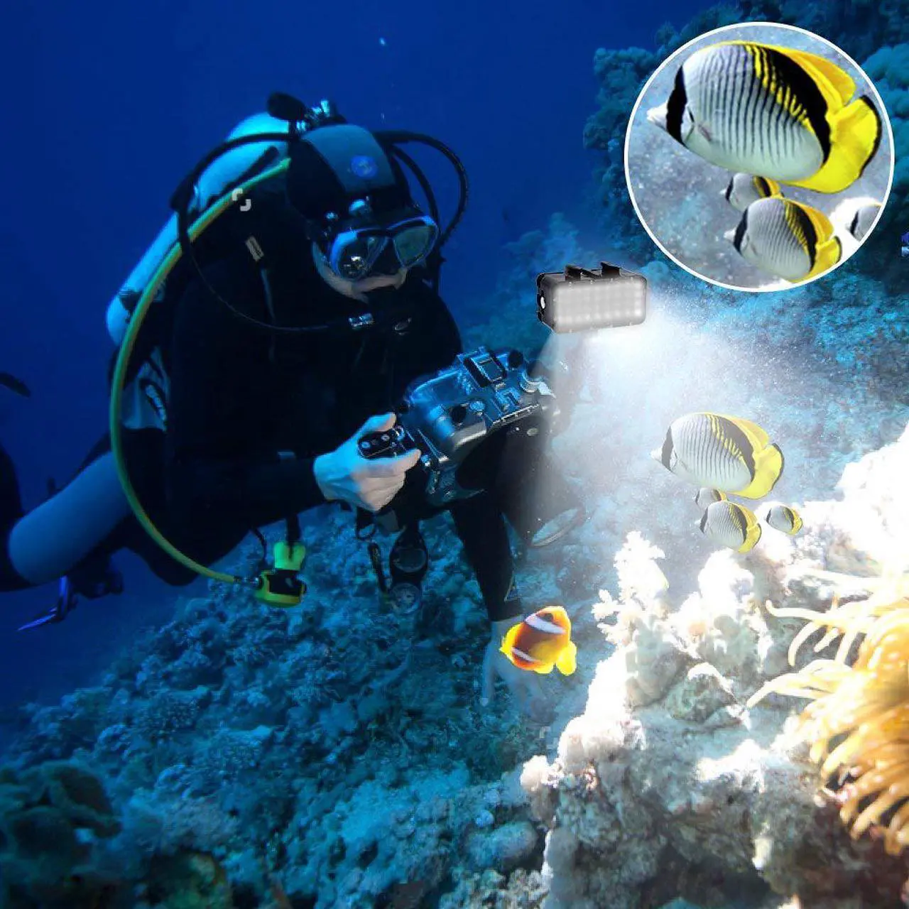 Alt view image 6 of 7 - Diving Light High Power Dimmable Waterproof LED Video Light Fill Night Light Diving Underwater Light Waterproof 147ft / 45m for Gopro Hero 8 Hero 7 Hero 6 5 5S 4 4S 3+ 2 SJCAM YI Action Cameras