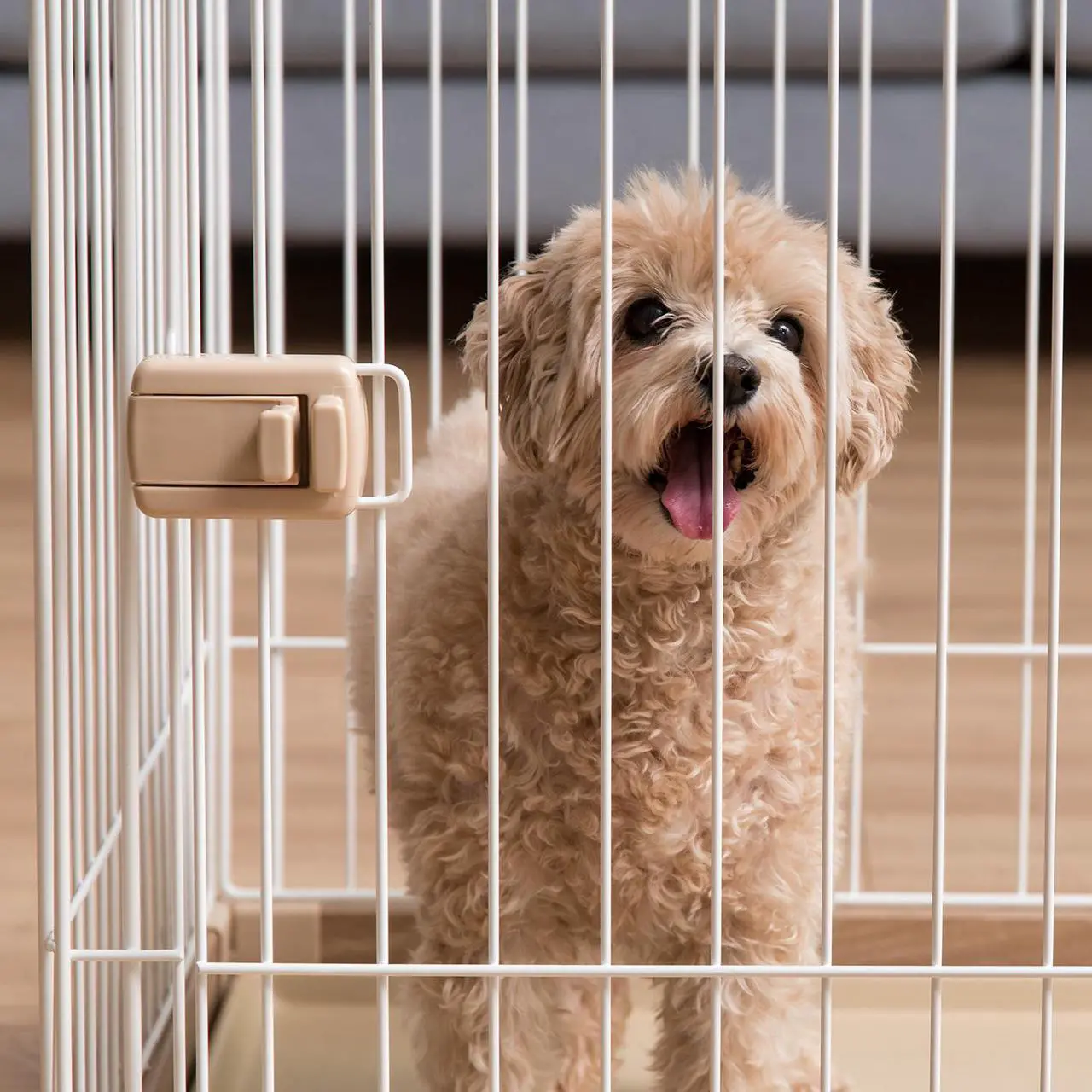 Alt view image 4 of 4 - IRIS Medium Wire Open Pet Pen, Brown/White