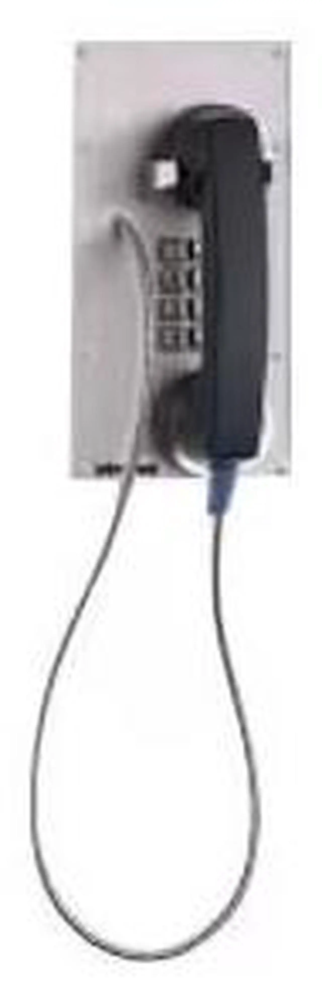 Alt view image 4 of 4 - Viking vandal resistant hotline phone with enhanced weather protection
