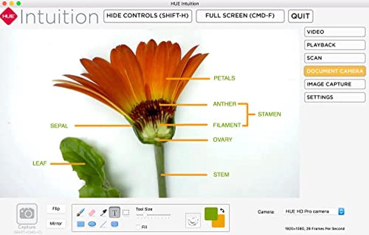 Alt view image 3 of 5 - HUE HD Pro USB Document Camera for Windows, macOS and Chrome OS (Black) (PC0000)