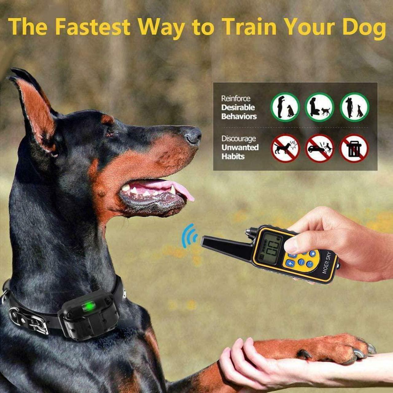 Alt view image 2 of 6 - Dog Training Collar - Rechargeable Remote Dog Shock Collars for Small, Medium, Large Dogs with 3 Corrective Remote Training Modes, Shock, Vibration, Beep, 100% Waterproof E-Collar Trainer