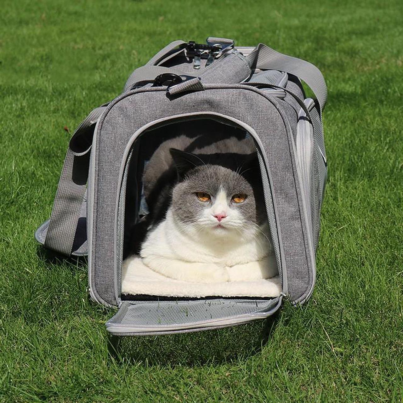 Alt view image 3 of 7 - Most Airline Approved Cat Carriers Dog Carriers Soft-Sided Pet Travel Carrier for Puppies/Kittens/Rabbits, 5-Sided Breathable Mesh, Self-Locking Zippers, 17''X11''X11'' Gray