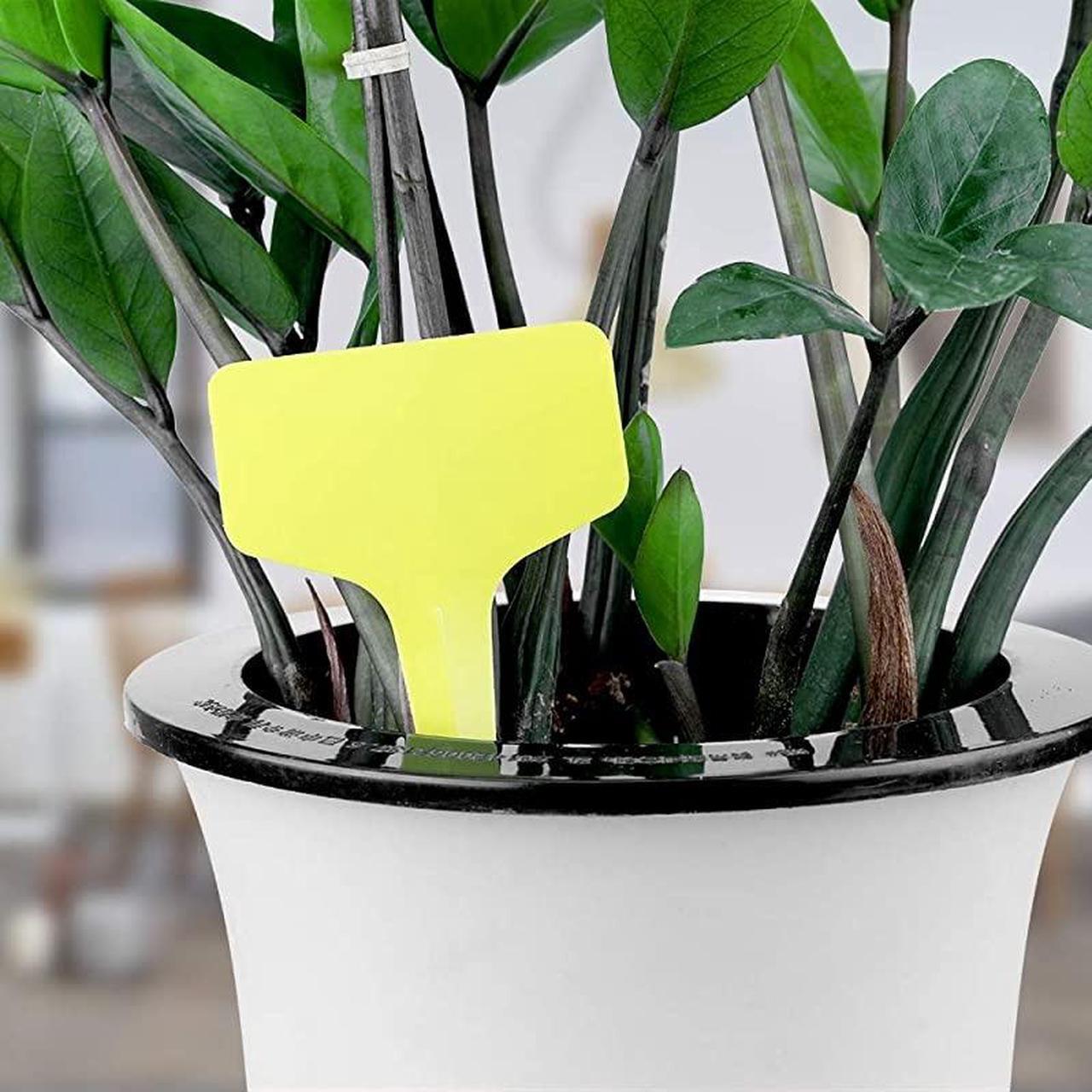 Alt view image 3 of 3 - Pcs 6 x10cm Plastic Plant TType Tags Yellow Nursery Garden Labels