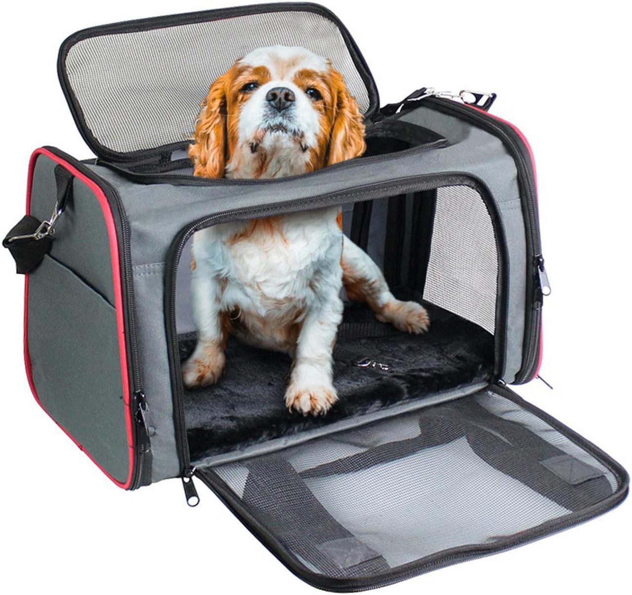 Main image of GOOPAWS Soft-Sided Pet Travel Carrier, Airline Approved Dog & Cat Carrier Collapsible, Collapsible Kennel for Small Dogs Cats, Puppy