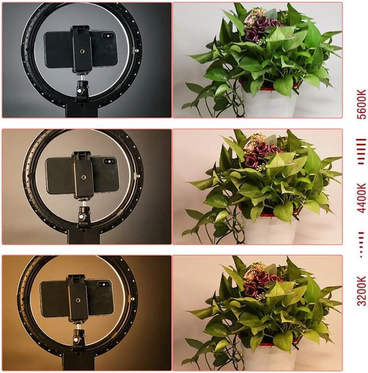 Alt view image 6 of 7 - Infinite Dimming Double Color Temperature LED Ring Lamp and Mini Tabletop Tripod