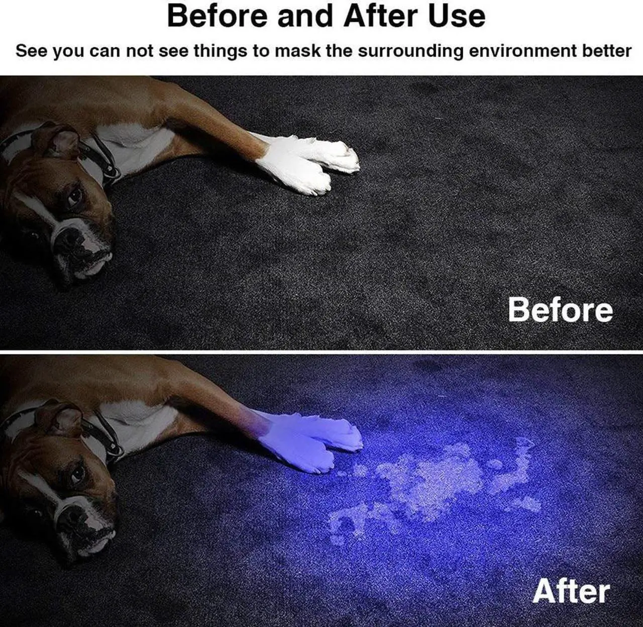 Alt view image 4 of 5 - UV Flashlight Ultraviolet Torch Tactical Waterproof Flashlight  for Dog Urine Pet Stains and Bed Bug Use AA/14500 battery A1