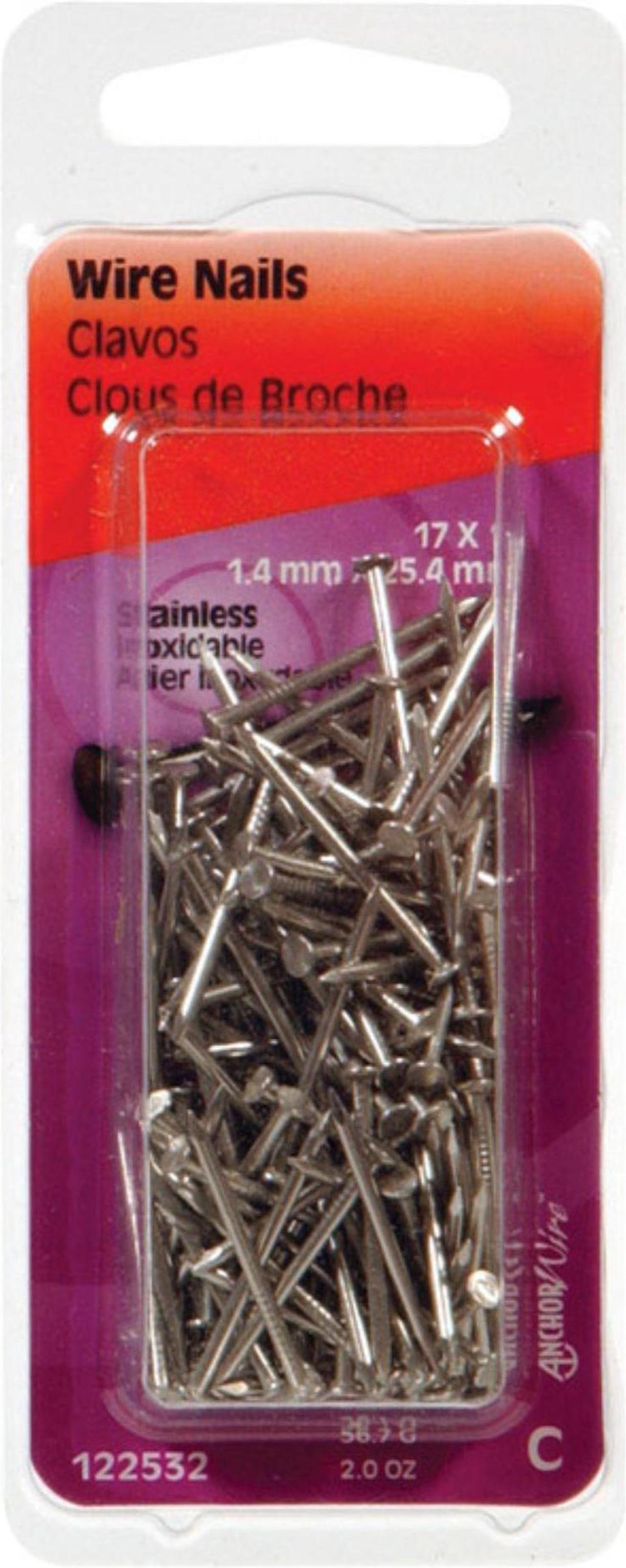 HILLMAN 5061403 NAIL 1""X17 STAINLESS (Pack of 6)