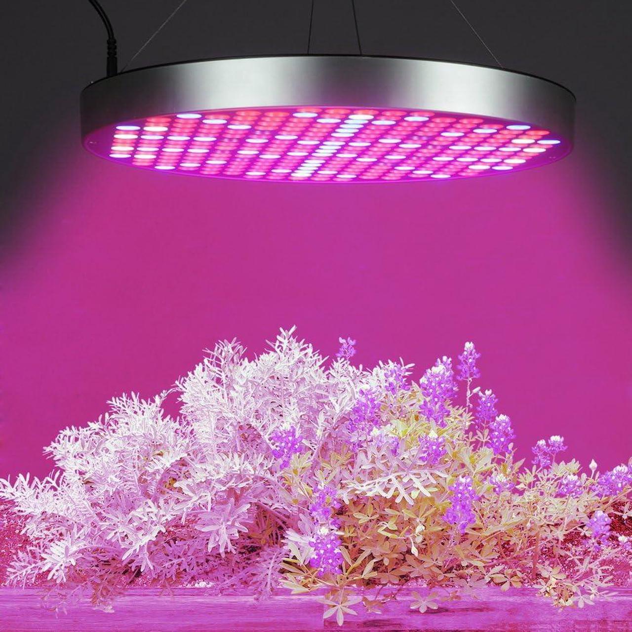 Alt view image 3 of 7 - LED Grow Light Bulb Panel 50W UFO Plant Growing Lamp with 250 LEDs Red Blue UV IR Full Spectrum Growing Lights for Indoor Plants, Seed Starting, Seedling, Veg and Flower