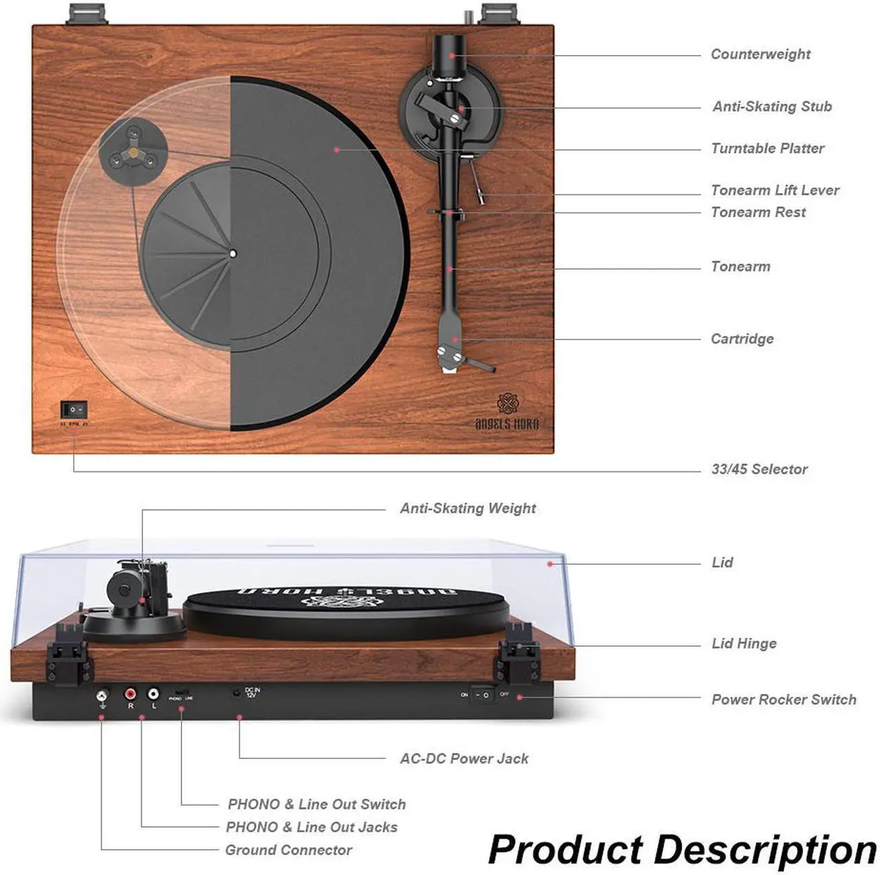 Alt view image 4 of 5 - ANGELS HORN Vinyl Turntable Record Player, Built-in 2-Speed Phono Preamp and Belt Drive for Vinyl Records- AT-3600L (Walnut Wood)