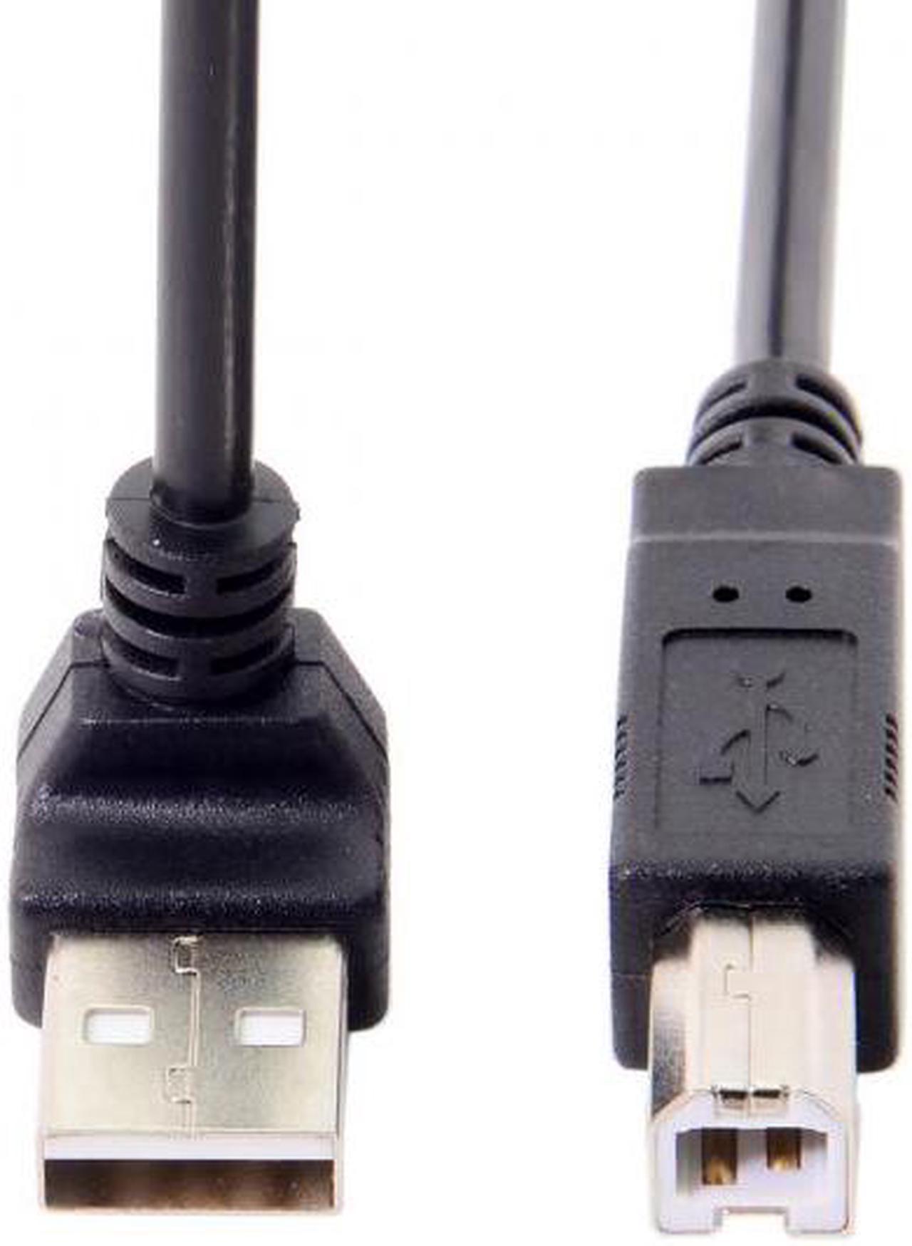 Chenyang Cable Down Angled 90 Degree USB 2.0 Male to B Type Male Cable for Printer Scanner Hard Disk 20cm