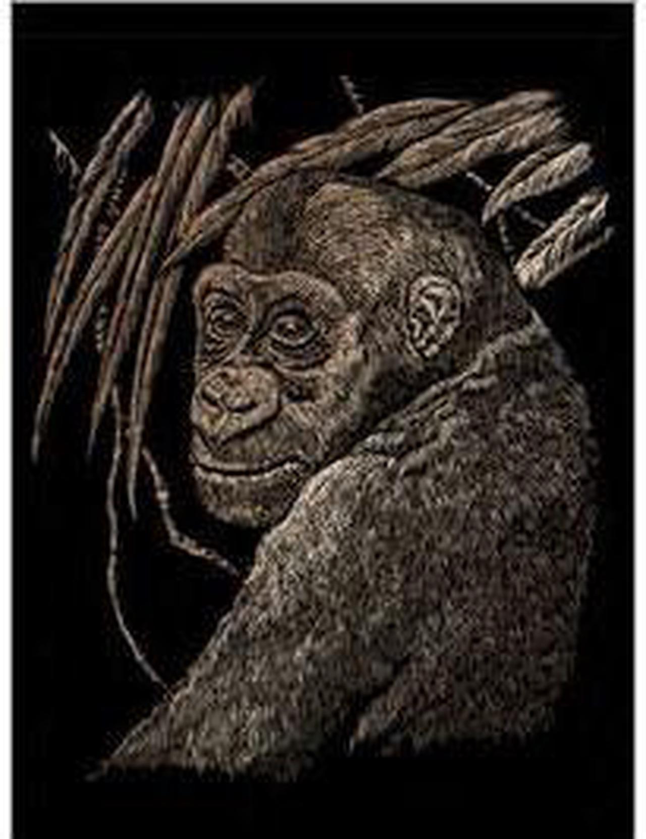 COPF18 - COPPER ENGRAVING APE