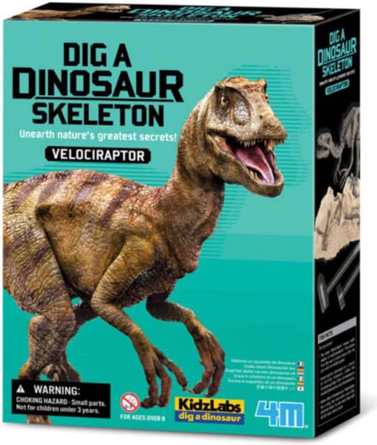 P13234 - DIG A VELOCIRAPTOR