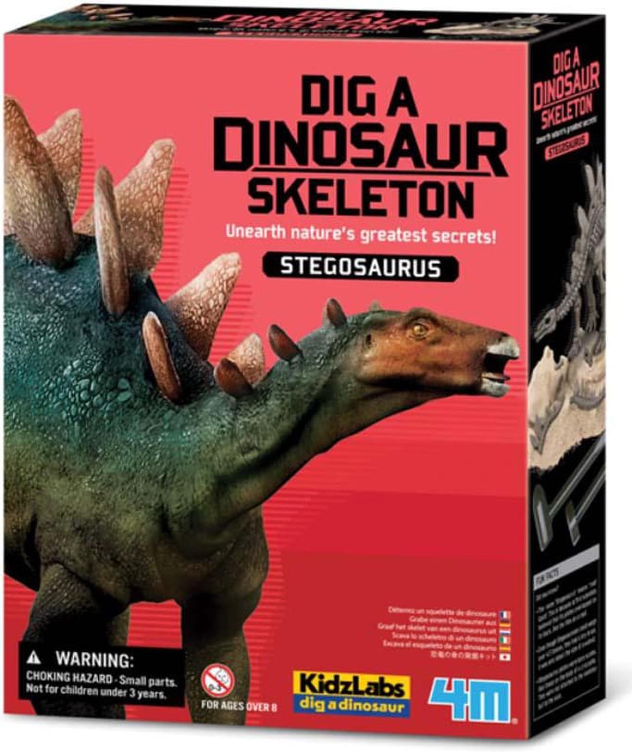 00-03229 - DIG A DINOSAUR SKELETON STEGOSAURUS