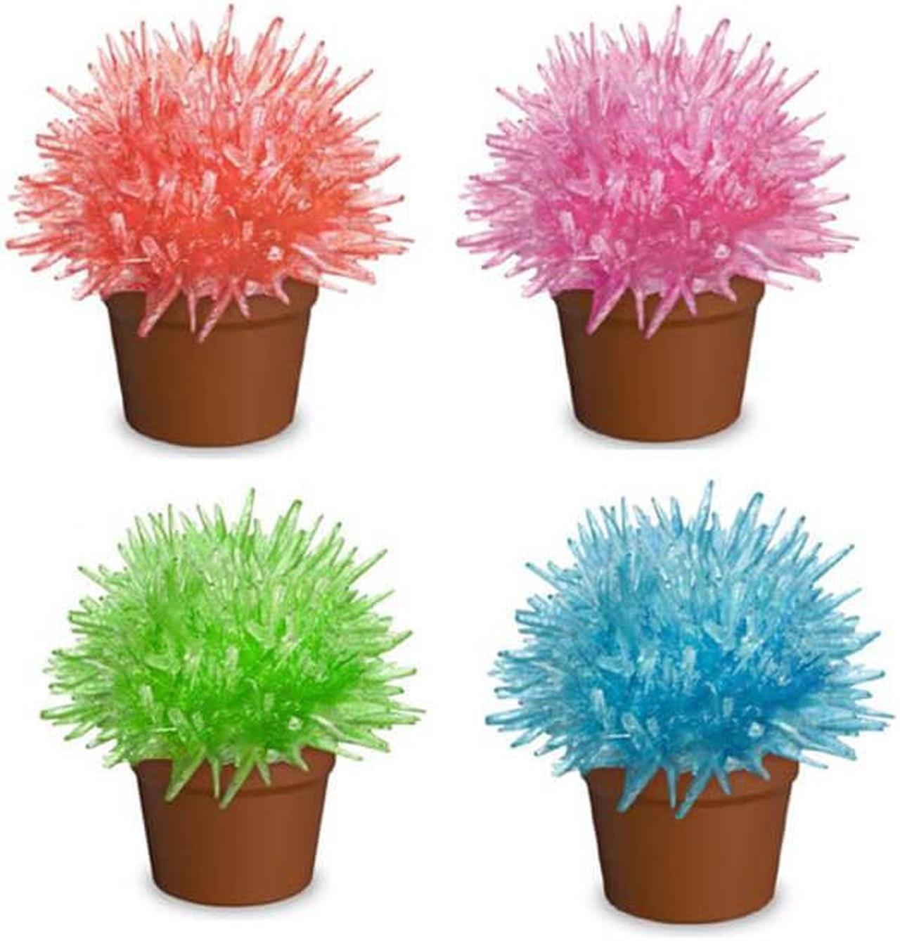 DG1004 - CRYSTAL CACTUS ASSORTED COLORS