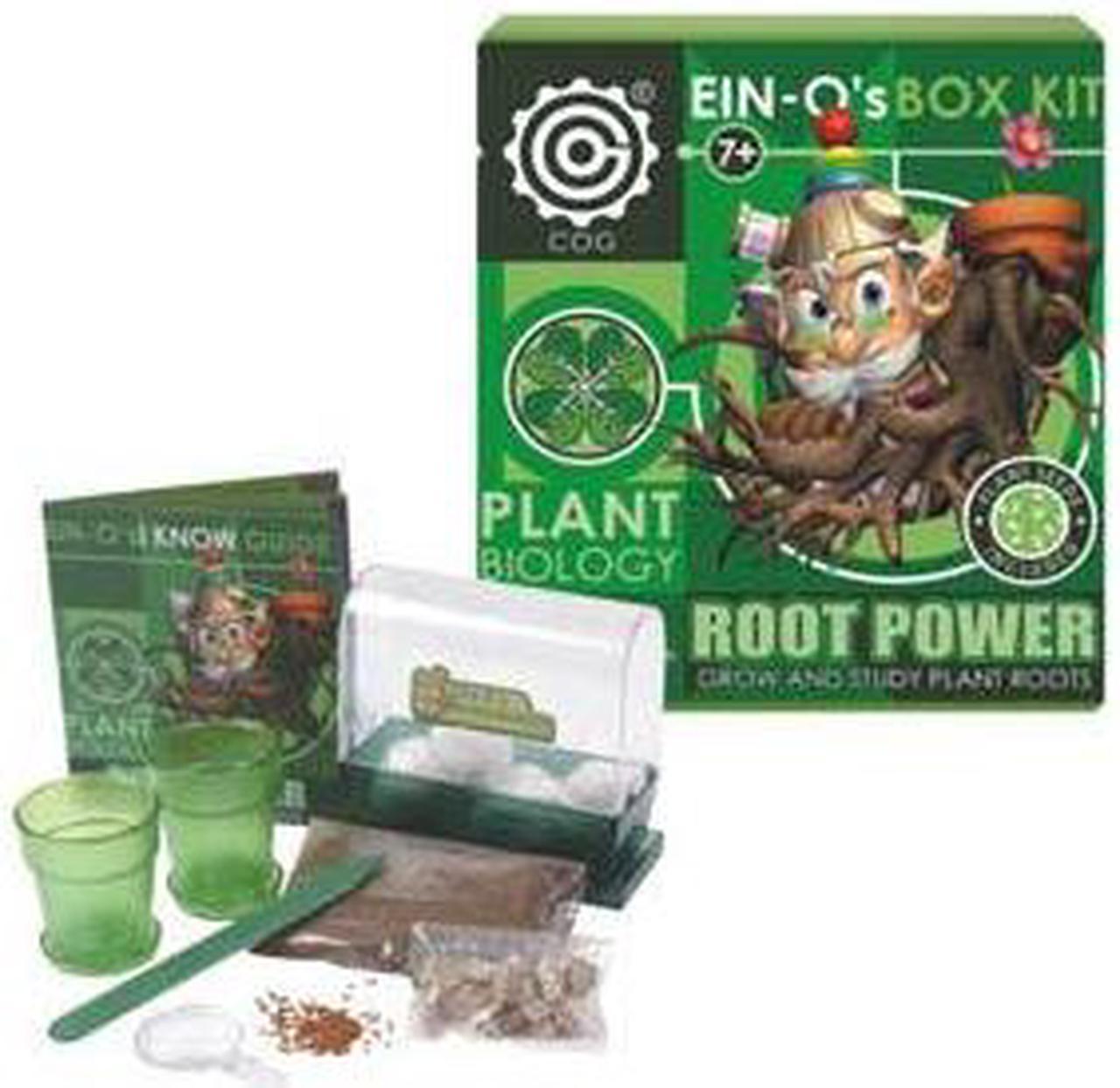 32386-ROOT - ROOT POWER-PLANT BIOLOGY