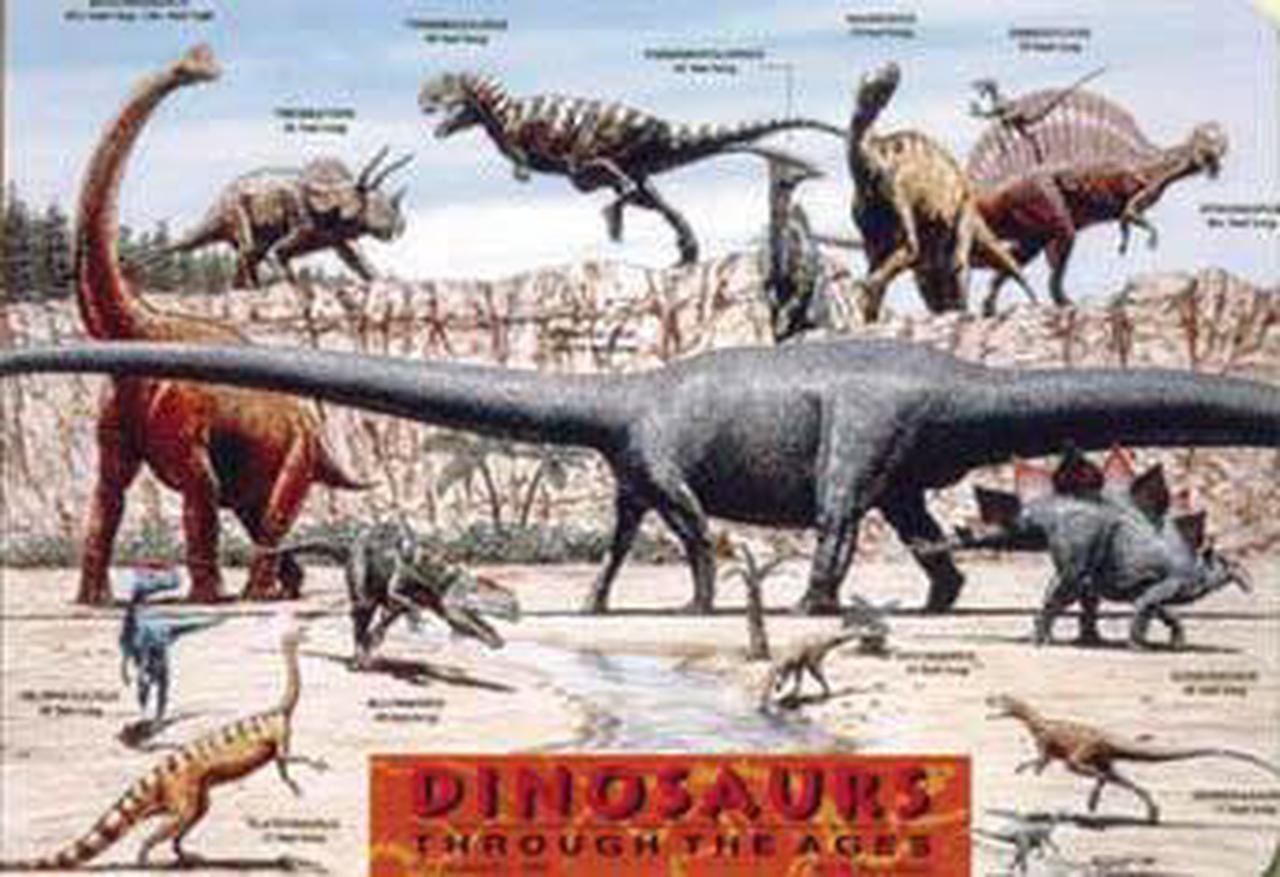 DIN-1 - PLACEMAT DINOSAURS