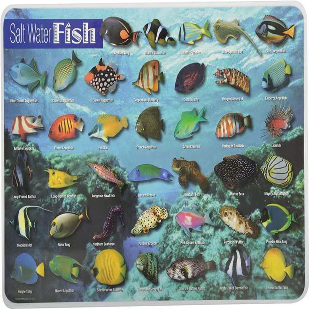 PLP-SWF-1 - PLACEMAT SALT WATER FISH