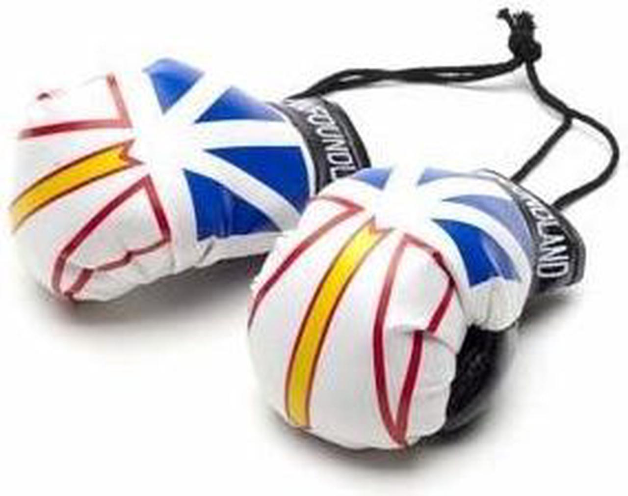 14481 - NEWFOUNDLAND SOUVENIR BOXING GLOVES MINI