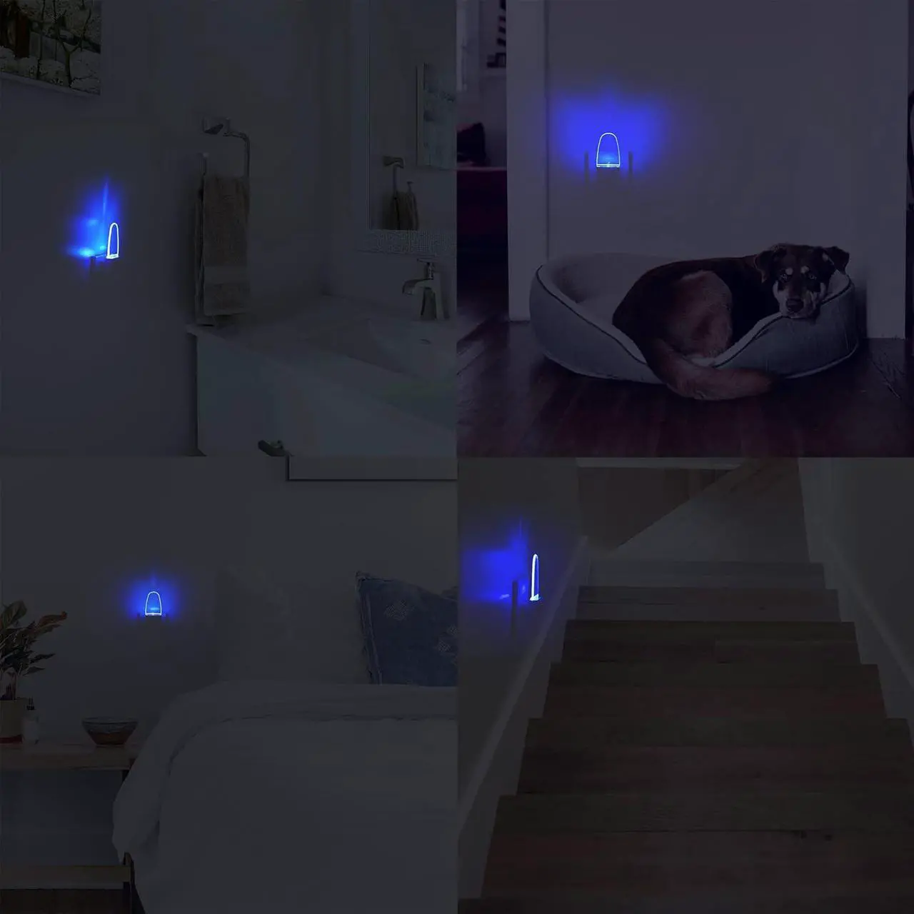 Alt view image 7 of 7 - 4 Pack Night Light Lamp with Dusk to Dawn Sensor, Plug in, Blue Led Night Light